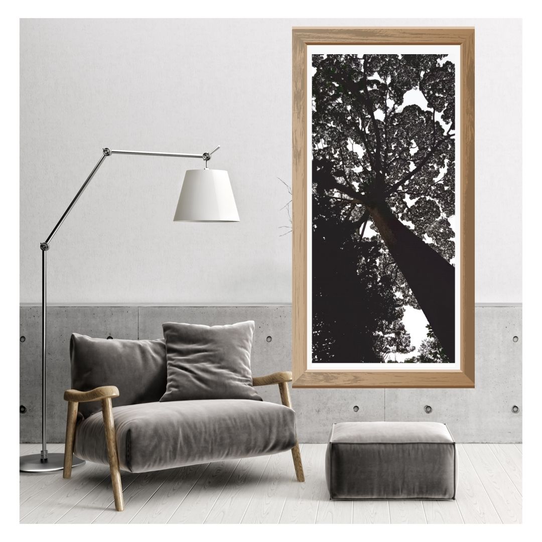 'Ebony Canopy' 2_30 © c (2)
